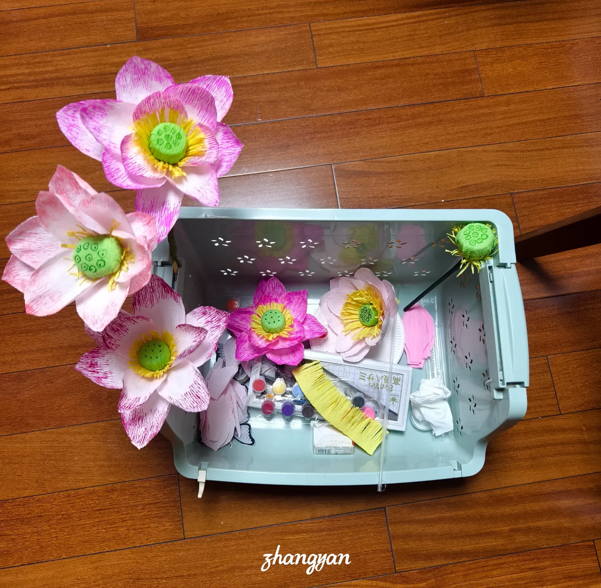 lCTq6TwTr1tTytON_1000040408.webp