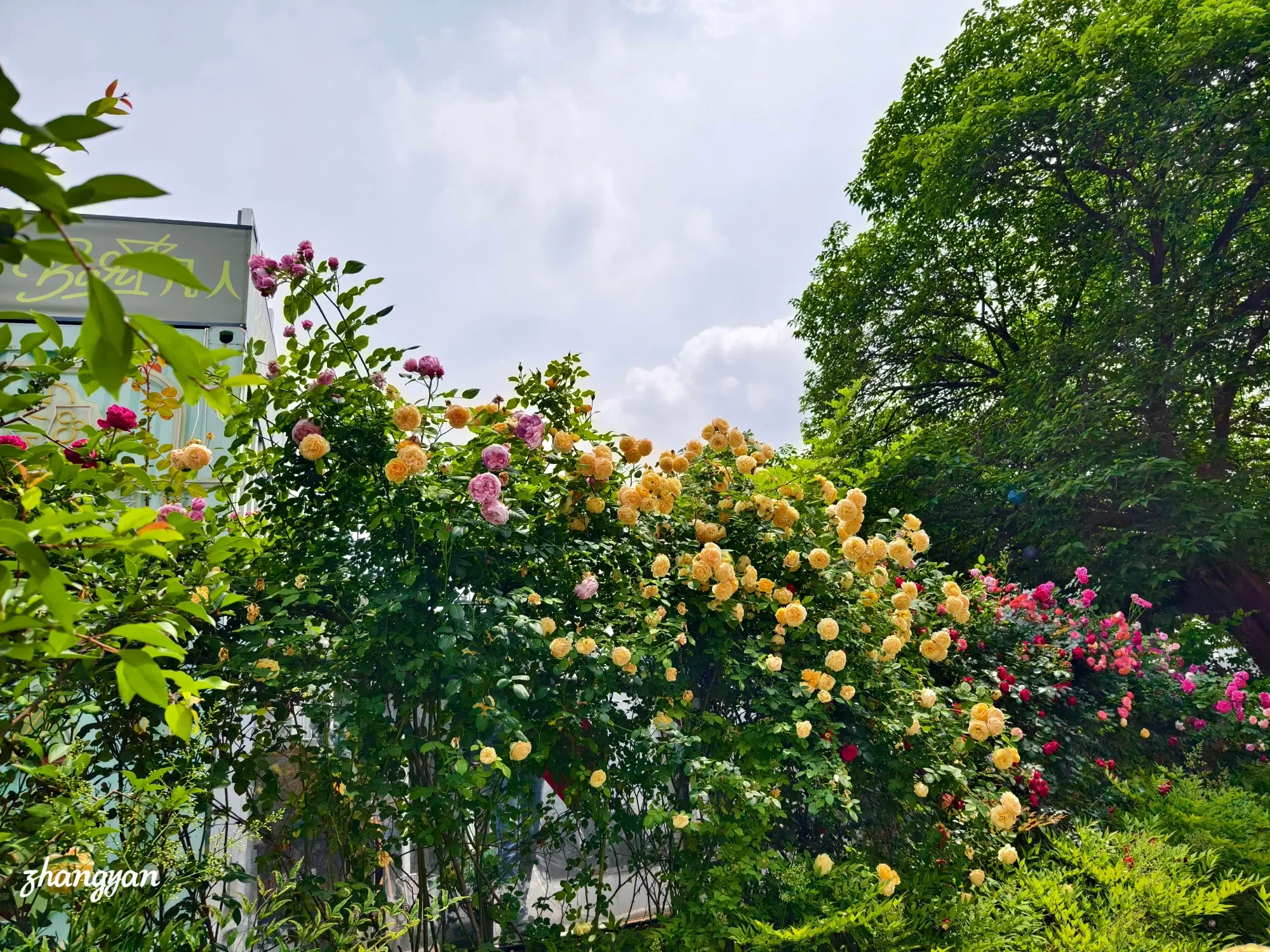 lDHfVAxi8RDpOAb8_1000018893.webp