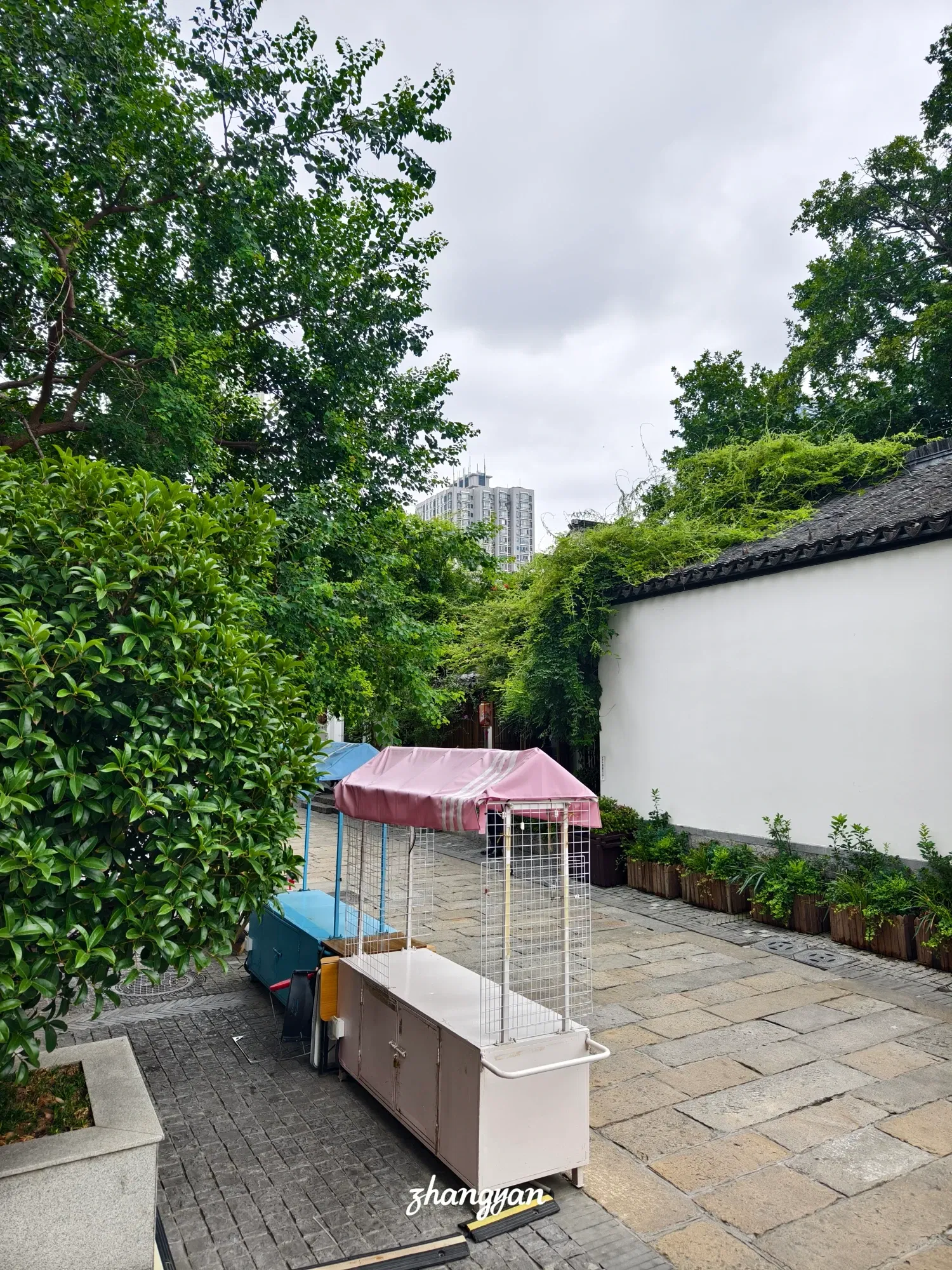 nSXwIir3xqNQ4tKp_1000041593.webp