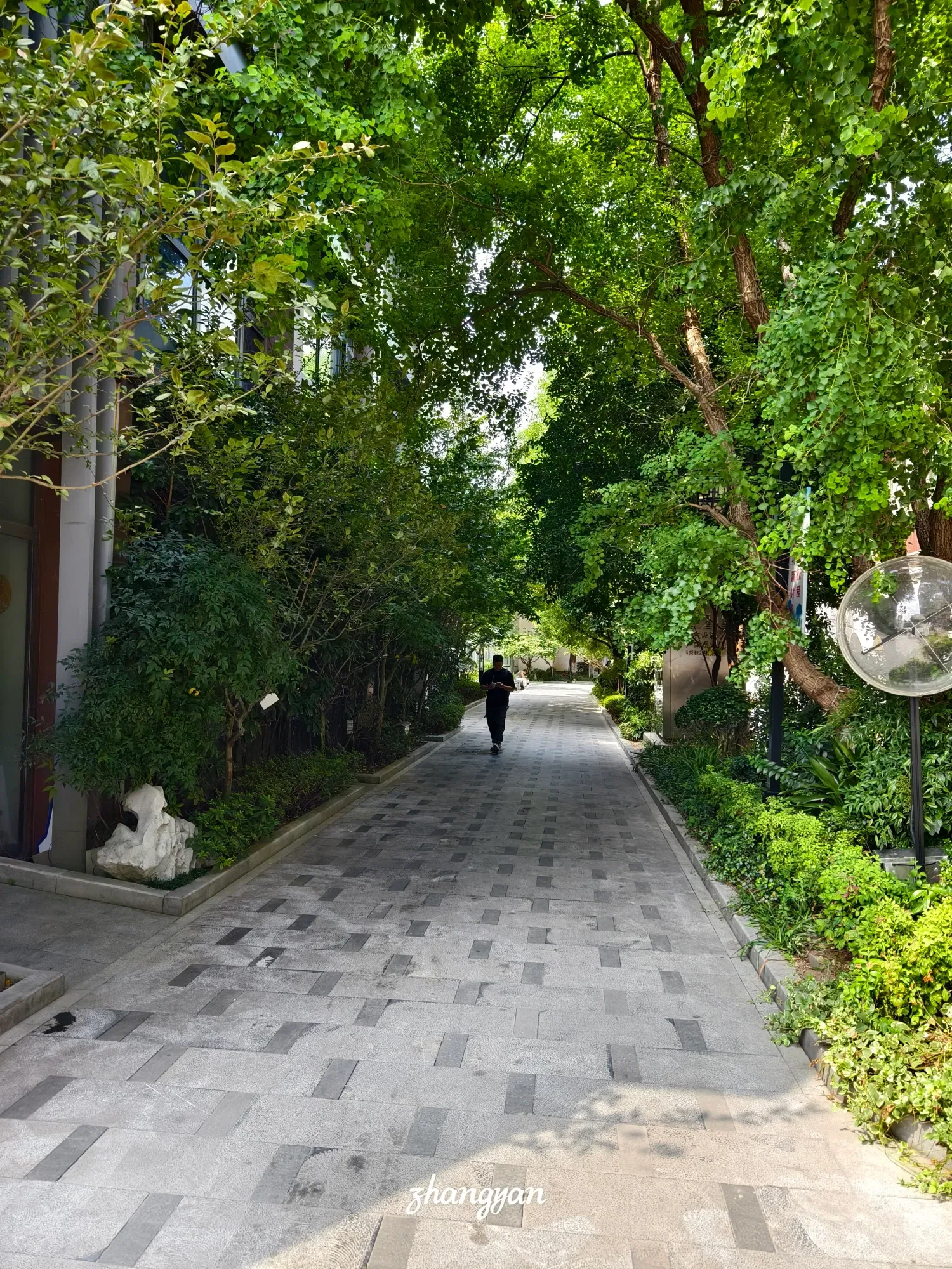 pyzPX71D3QZKTmR9_1000041943.webp