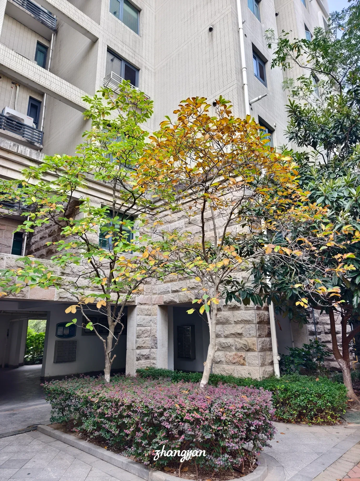 vDAsy6e…
Payout: 8.902 HBD性侵不遥远
2025-11-01 08:18<liketuimages> <center> ![vD6sCDXo2m2ur6EQ_1000043767.webp