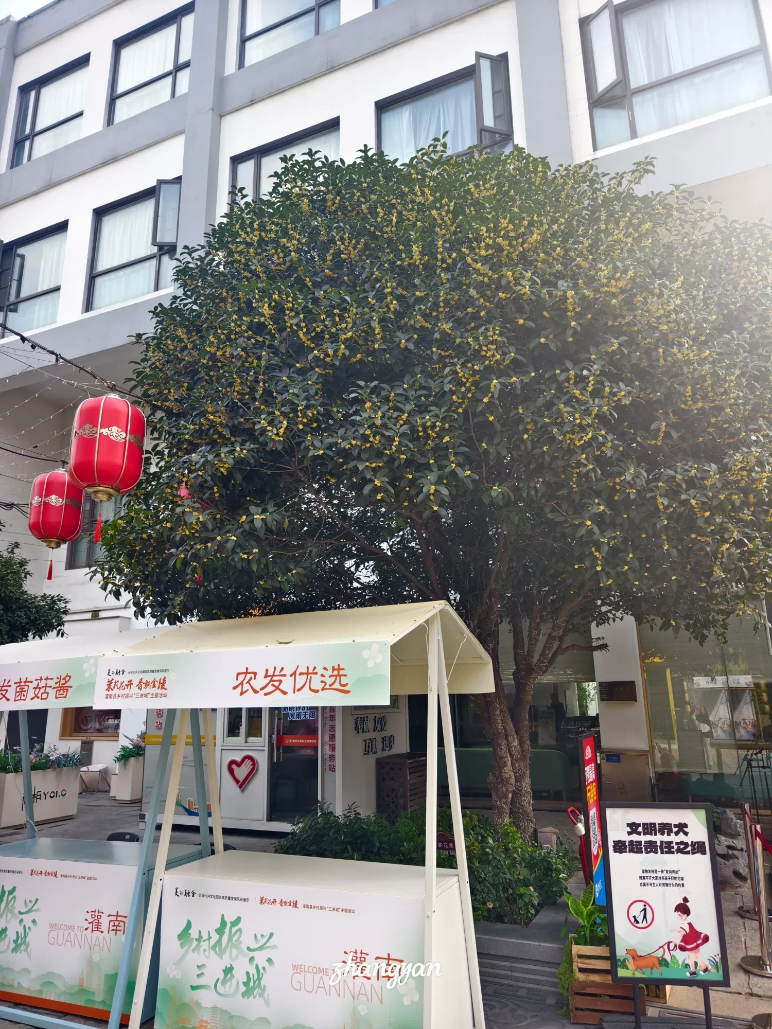 0xfb6tc…
Payout: 0.000 HBD桂花开了
2025-10-27 07:32<liketuimages> <center> ![veM0gn3Jdy5n9U4j_1000043692.webp