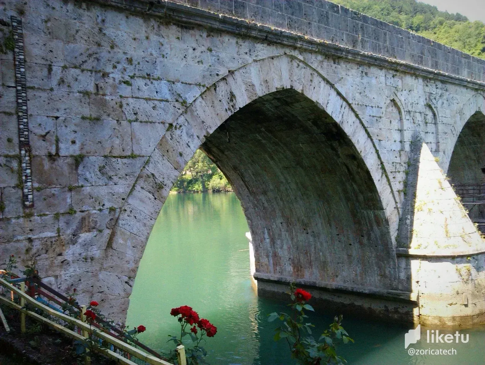 cl784d0po00eg0om79a0q02wa_Drina_3.webp
