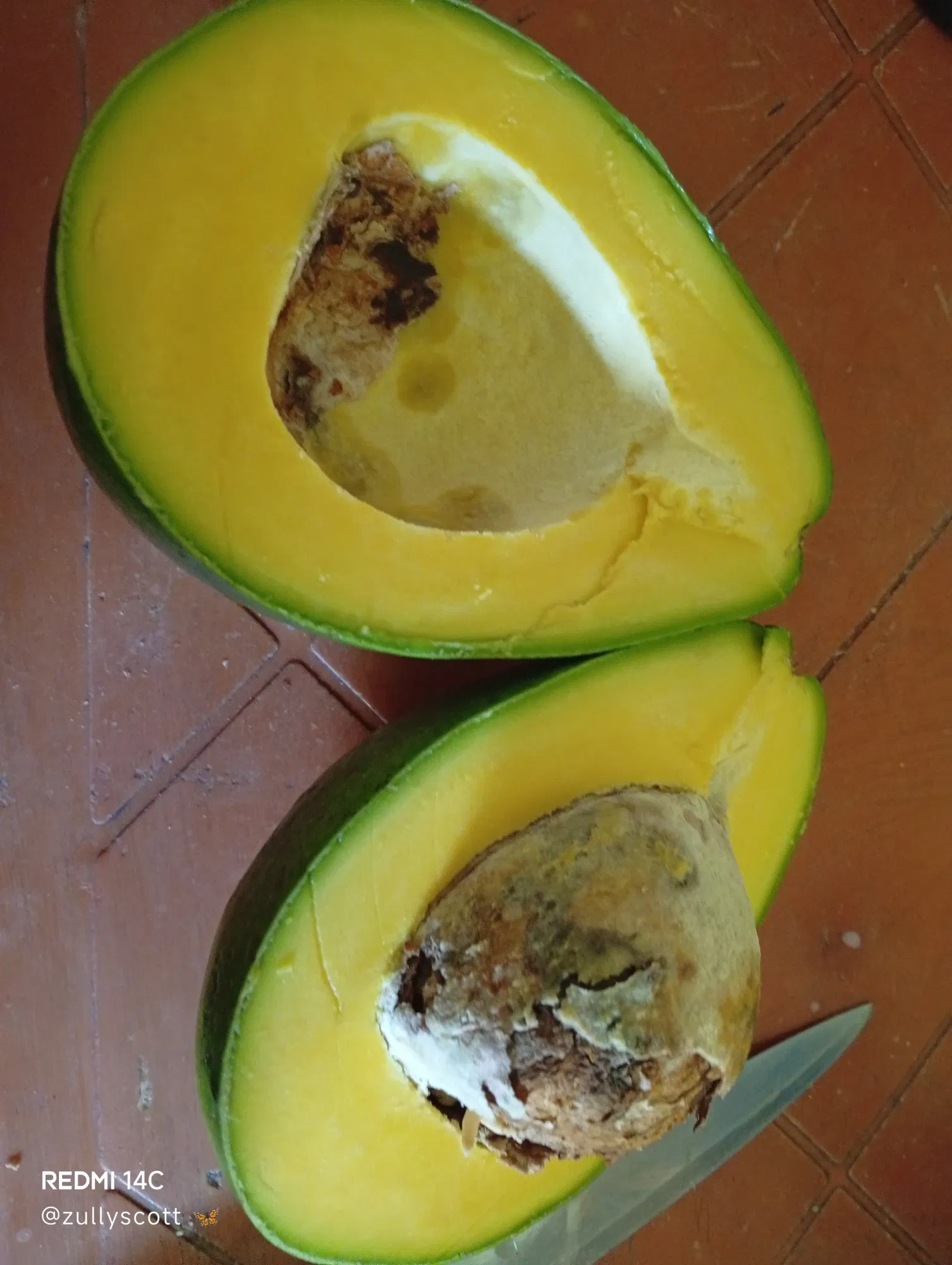 ACEkKADhVg3MCHbG_1000501082.webp