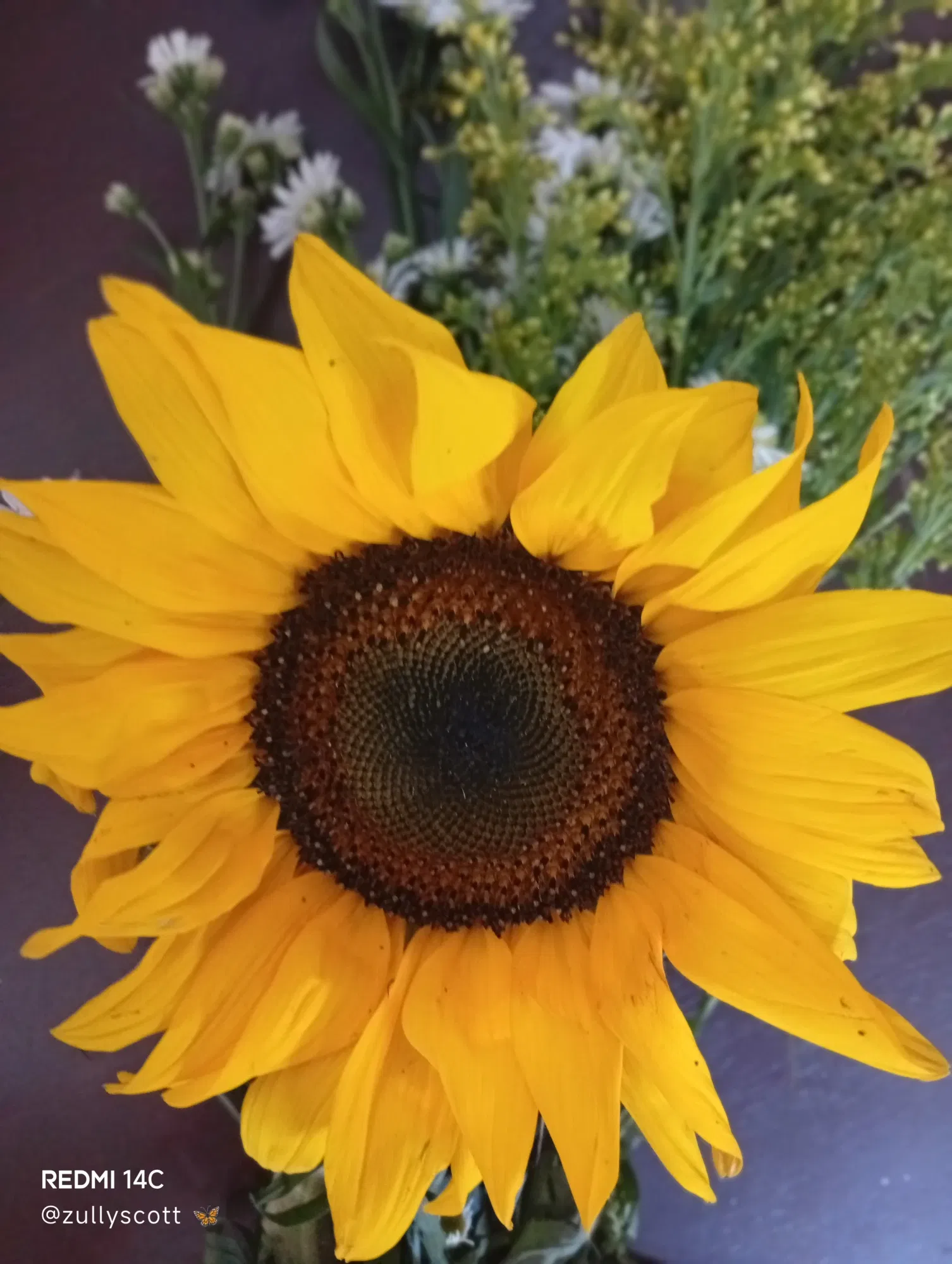 TNJunLmRzQuQwJuN_1000491721.webp