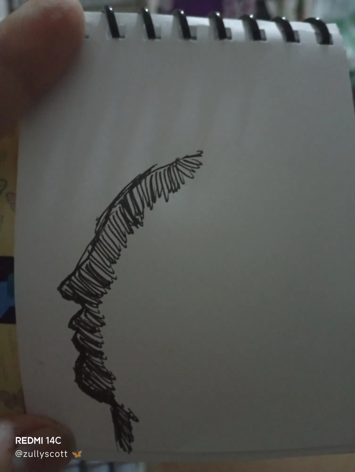 ltdBltJq6wupYZr2_1000459290.webp