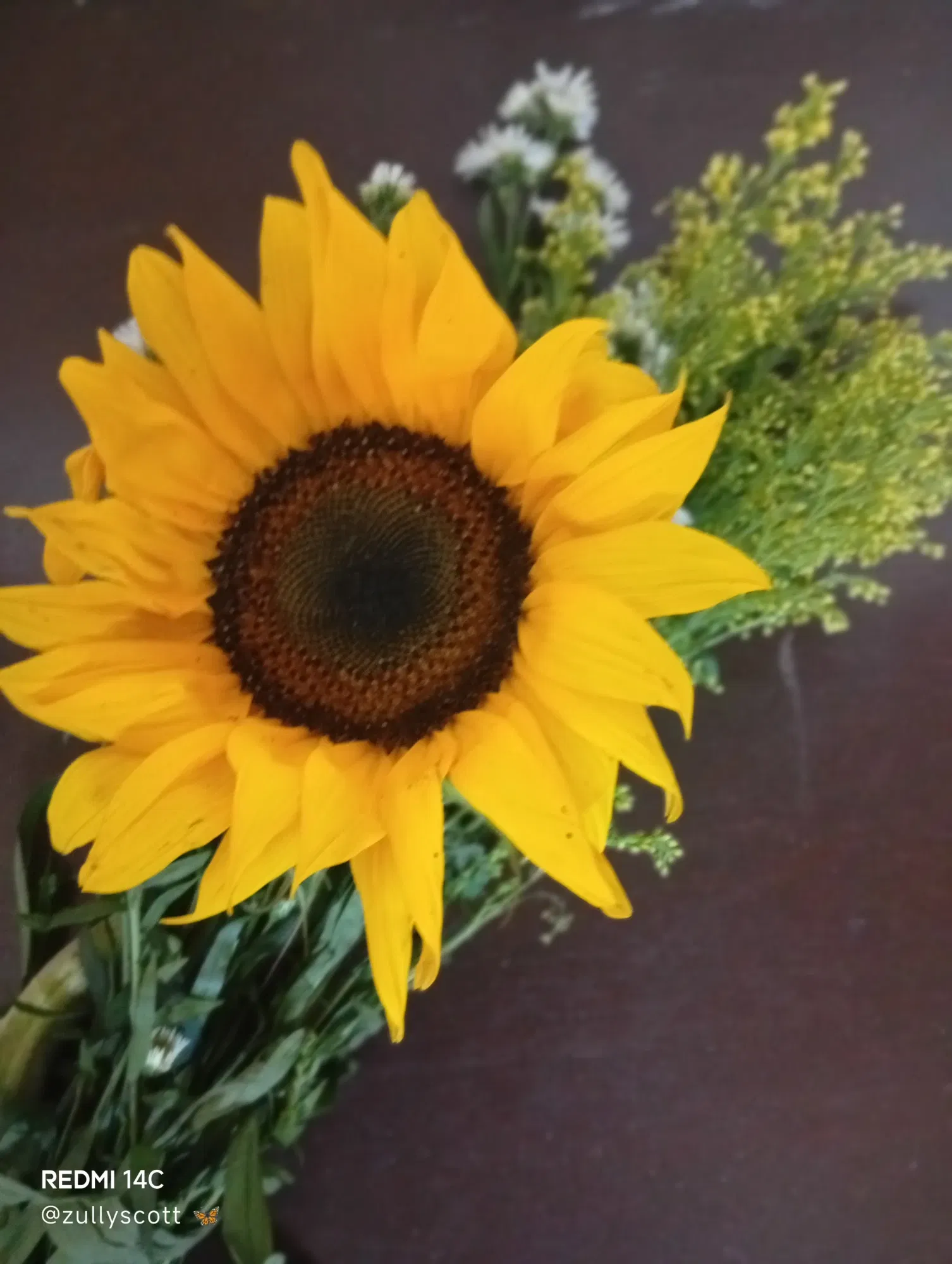 oRn9qlvriO1XSC1S_1000491720.webp