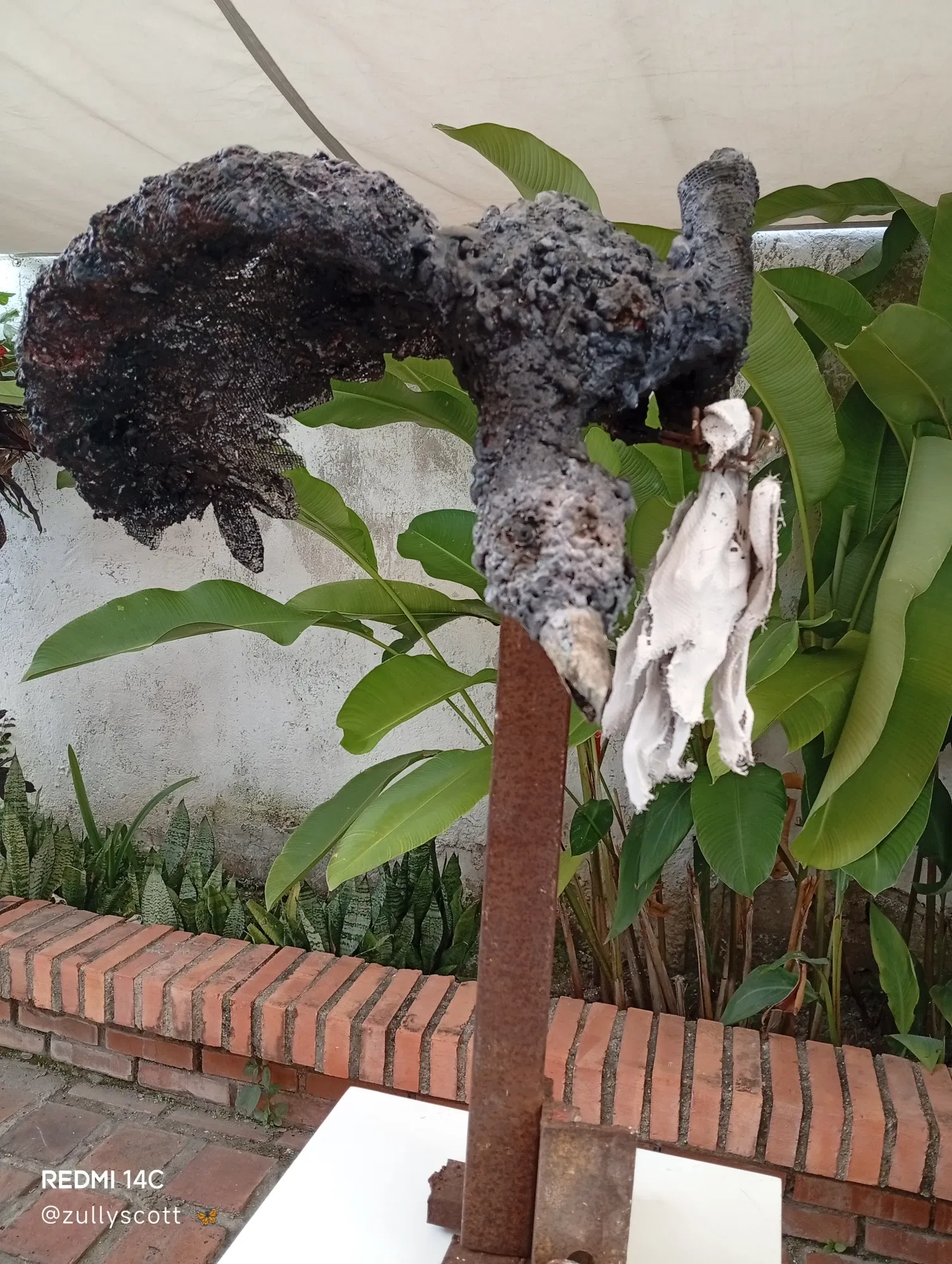 tdgXLLMqdP2GPBEX_1000424680.webp