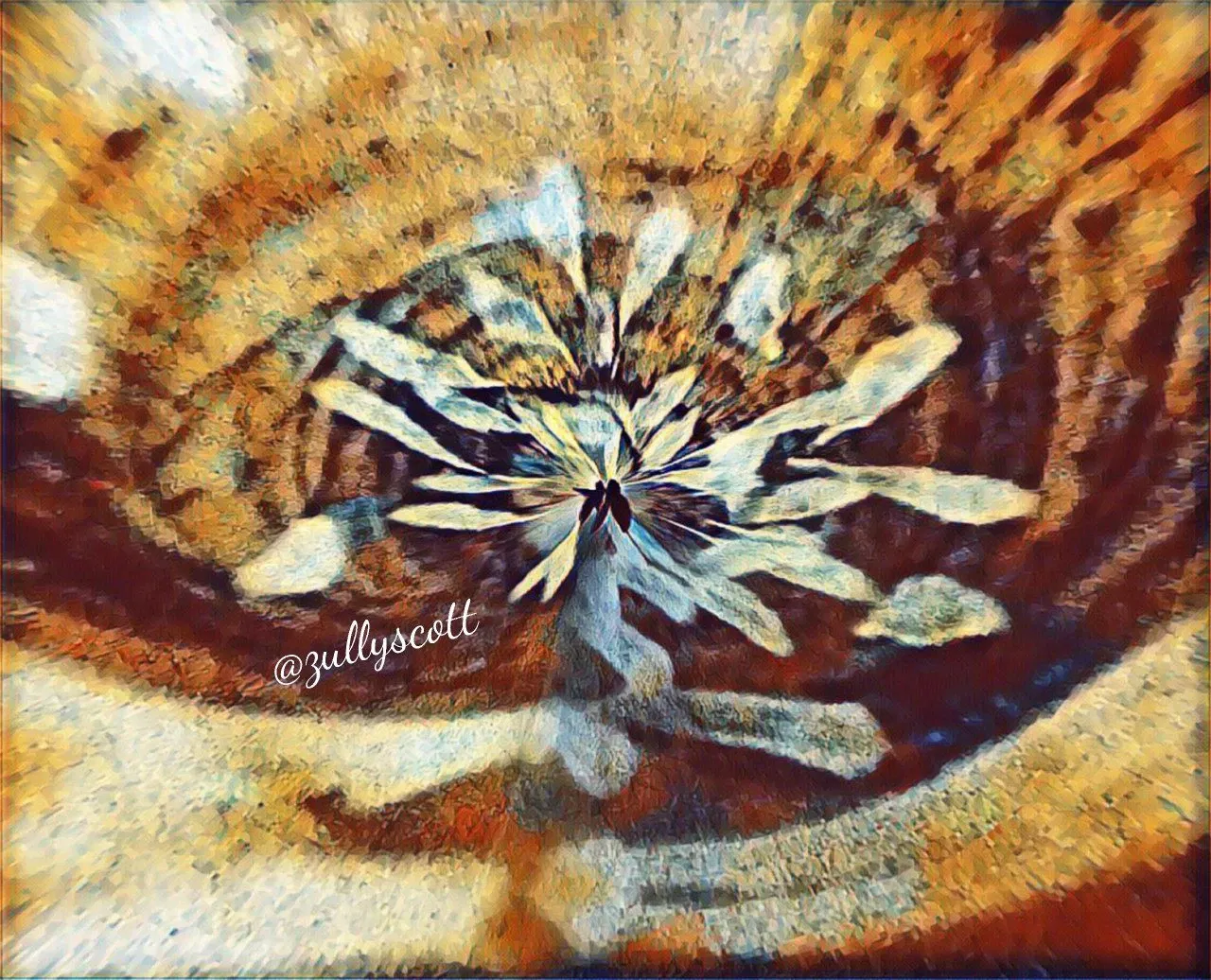 4yaGJsLIj…
Payout: 0.000 HBDAmo el Otoño (Prosa)
2025-10-05 22:11<liketuimages> <center> ![yEvrzIXxvsFe5d52_1000571832.webp